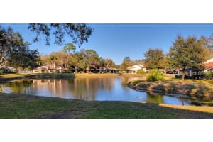 3505 TARPON WOODS BOULEVARD, PALM HARBOR, FL 34685 - MLS#MFRTB8437255