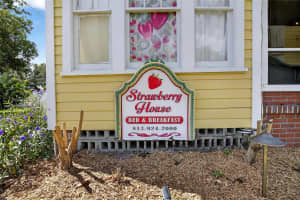 805 WHEELER STREET, PLANT CITY, FL 33563 - MLS#MFRTB8437259