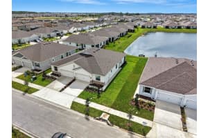 31434 PAPER BIRCH STREET, WESLEY CHAPEL, FL 33545 - MLS#MFRTB8437264