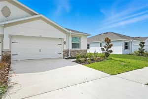 31434 PAPER BIRCH STREET, WESLEY CHAPEL, FL 33545 - MLS#MFRTB8437264