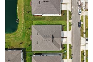 31434 PAPER BIRCH STREET, WESLEY CHAPEL, FL 33545 - MLS#MFRTB8437264