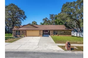 2890 Armadillo Dr, PALM HARBOR 2890 Armadillo Dr, PALM HARBOR