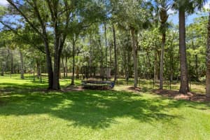 16423 BURNISTON DRIVE, TAMPA, FL 33647 - MLS#MFRTB8437329