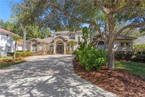 16303 HEATHROW DRIVE, TAMPA, FL 33647 - MLS#MFRTB8437339