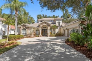 16303 HEATHROW DRIVE, TAMPA, FL 33647 - MLS#MFRTB8437339