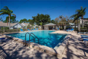 16112 RAMBLING VINE DRIVE, TAMPA, FL 33624 - MLS#MFRTB8437404