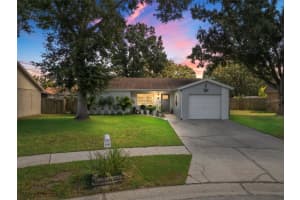 11305 Silverleaf Ct, RIVERVIEW 11305 Silverleaf Ct, RIVERVIEW