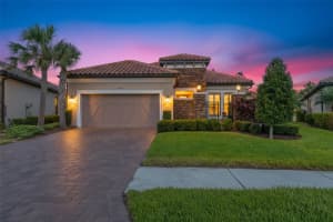11295 JUGLANS DRIVE, ODESSA, FL 33556 - MLS#MFRTB8437457