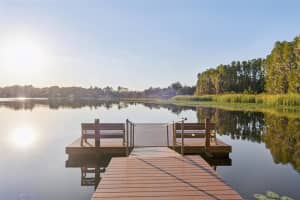 1727 HAMMOCKS AVENUE, LUTZ, FL 33549 - MLS#MFRTB8437503