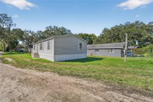 39256 LIZABETH CIRCLE, ZEPHYRHILLS, FL 33542 - MLS#MFRTB8437570