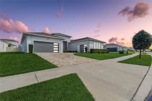 9028 IVY STARK BOULEVARD, WESLEY CHAPEL, FL 33545 - MLS#MFRTB8437575