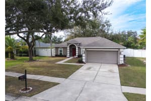 14833 REDCLIFF DRIVE, TAMPA, FL 33625 - MLS#MFRTB8437584