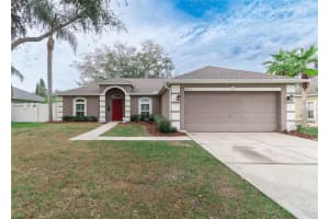 14833 REDCLIFF DRIVE, TAMPA, FL 33625 - MLS#MFRTB8437584