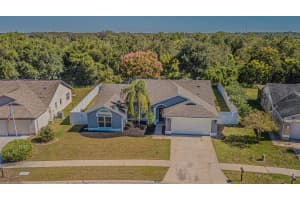 14136 FALDO COURT, HUDSON, FL 34667 - MLS#MFRTB8437599