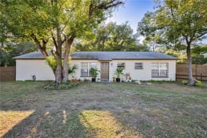 1347 OSCEOLA HOLLOW ROAD, ODESSA, FL 33556 - MLS#MFRTB8437622