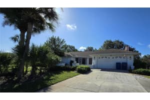 10066 BRENTLAWN STREET, SPRING HILL, FL 34608 - MLS#MFRTB8437667