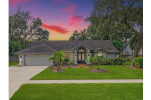 3805 CLIFFDALE DRIVE, VALRICO, FL 33594 - MLS#MFRTB8437707