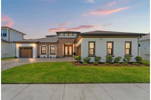 8541 Ivy Stark Blvd, WESLEY CHAPEL