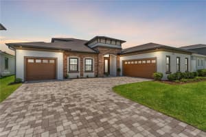 8541 IVY STARK BOULEVARD, WESLEY CHAPEL, FL 33545 - MLS#MFRTB8437713