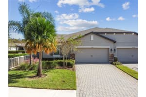 19322 HAWK VALLEY DRIVE, TAMPA, FL 33647 - MLS#MFRTB8437718