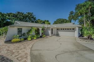 565 Sandy Hook Rd, PALM HARBOR 565 Sandy Hook Rd, PALM HARBOR
