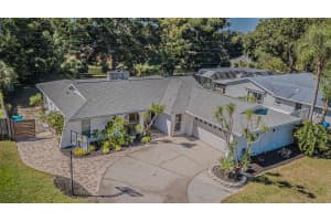 565 SANDY HOOK ROAD, PALM HARBOR, FL 34683 - MLS#MFRTB8437779