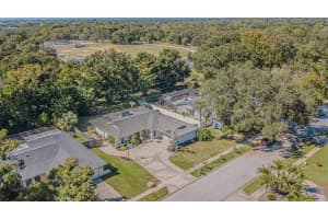 565 SANDY HOOK ROAD, PALM HARBOR, FL 34683 - MLS#MFRTB8437779