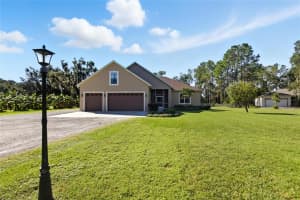 12807 SWEET MAGNOLIAS LANE, DOVER, FL 33527 - MLS#MFRTB8437788