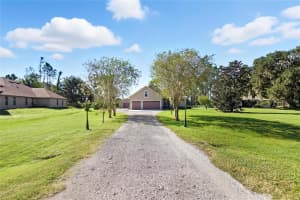 12807 SWEET MAGNOLIAS LANE, DOVER, FL 33527 - MLS#MFRTB8437788