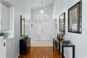 1249 WINDING WILLOW DRIVE, TRINITY, FL 34655 - MLS#MFRTB8437804