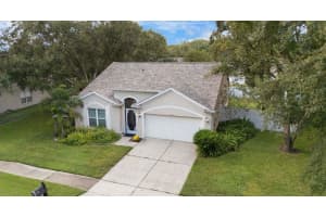 26857 CARMEN PLACE, LUTZ, FL 33559 - MLS#MFRTB8437832