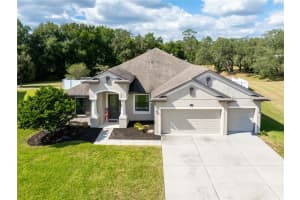 769 Challice Dr, SPRING HILL