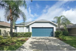 18209 Portside St, TAMPA