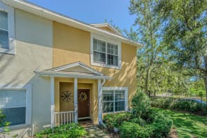 3401 High Hampton Cir, TAMPA