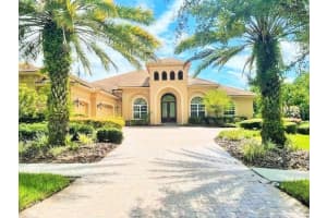 20010 RYMAN PLACE, TAMPA, FL 33647 - MLS#MFRTB8437891