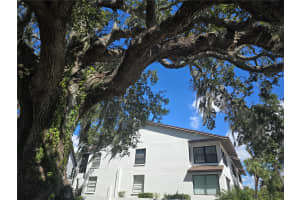 411 BAYSHORE BOULEVARD, SAFETY HARBOR, FL 34695 - MLS#MFRTB8437899