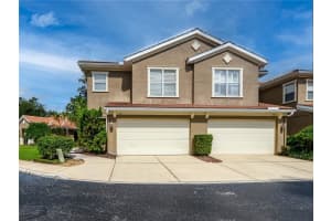 4982 Anniston Cir, TAMPA