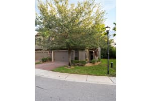17371 OLD TOBACCO ROAD, LUTZ, FL 33558 - MLS#MFRTB8437903