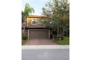 17371 OLD TOBACCO ROAD, LUTZ, FL 33558 - MLS#MFRTB8437903