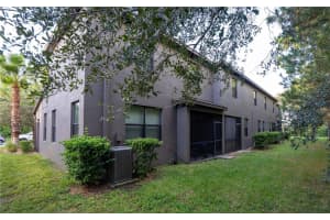 17371 OLD TOBACCO ROAD, LUTZ, FL 33558 - MLS#MFRTB8437903