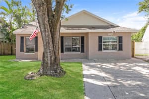 12318 Cloverstone Dr, TAMPA