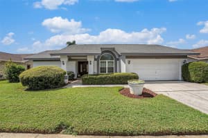 8615 CHADWICK DRIVE, TAMPA, FL 33635 - MLS#MFRTB8437926