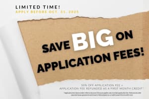 15111 SHEARCREST DRIVE, LITHIA, FL 33547 - MLS#MFRTB8437940