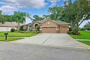 19737 PRINCE BENJAMIN DRIVE, LUTZ, FL 33549 - MLS#MFRTB8437954