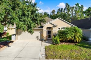 29241 Yarrow Dr, WESLEY CHAPEL 29241 Yarrow Dr, WESLEY CHAPEL