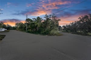 7049 CENTERWOOD AVENUE, SPRING HILL, FL 34606 - MLS#MFRTB8437986