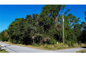 7049 CENTERWOOD AVENUE, SPRING HILL, FL 34606 - MLS#MFRTB8437986