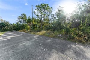3560 DIAGONAL LANE, SPRING HILL, FL 34606 - MLS#MFRTB8437987