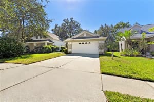15016 DEER MEADOW DRIVE, LUTZ, FL 33559 - MLS#MFRTB8437992