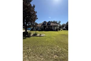 13101 DONE GROVEN DRIVE, DOVER, FL 33527 - MLS#MFRTB8438019